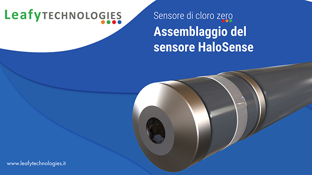 Video dimostrazione dell'autoflush